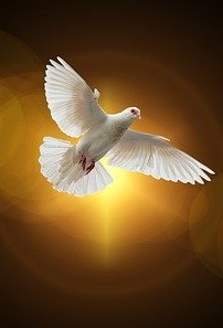 Veni, Sancte Spiritus! Come, Holy Spirit, come!
